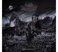 Frosted Undergrowth - Unchained