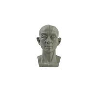 FROVOL Tête plate standard blanche, modèle pour artistes apprennent les plans de visage, tête de mannequin humain pour dessin médical et artistique, croquis, peinture