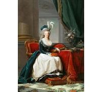 FROZBI Art imprime image abstrait impressions artistiques Peinture célèbre Elisabeth Louise Vigée-lebrun Queen Marie-antoinette pour Salon 60x90cm