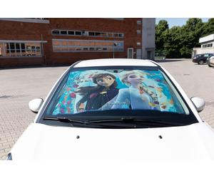 FROZEN 10256 Couverture de pare-brise