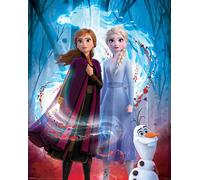 Frozen 2 - Mini-Poster - Guiding Spirit + 1 paquet de tesa Powerstrips® - Contenu 20 pièces