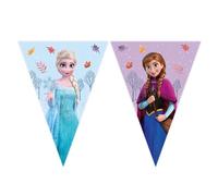 Frozen Idyllic Wonder Bannière Triangulaire en Papier FSC (9 Drapeaux) 1 pièce
