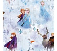 Frozen II - Papier peint WONDER (AG2136)