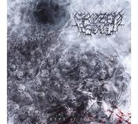 FROZEN SOUL - CRYPT OF ICE VINYL LP NEUF