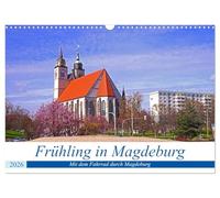 Frühling in Magdeburg (Wandkalender 2026 DIN A3 quer), CALVENDO Monatskalender: Im Frühling mit dem Fahrrad durch Magdeburg
