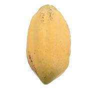 Fruit Artificiel Café, Cabosse de Cacao Jaune en Plastique Réaliste | Texture Réaliste, Décor Réutilisable à Faible Entretien, Résistant à Décoloration, pour Vitrines Quotidiennes