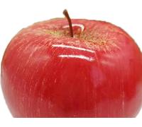 Fruit artificiel Modèle de simulation de fruit en mousse Faux fruit Aides pédagogiques pour le jardin d'enfants Accessoires décoratifs Pomme rose