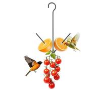 Fruit Bird Feeder - Iron 26x18cm | Hanging Garden Fruit Holder With Hook | Orange Oriole Feeding Station Decorative Outdoor Bird Feeder Backyard Patio Balcony Window Lawn Decor For Wild Birds Watching