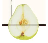 Fruit Bookmark Clip, Cute Reading Page Marker Set, Acrylic Slice with Lightweight Feature, Smooth Texture, Book Holder Accessory, Vibrant Style with Decorative Look, Reading Tool for Kids Study Use