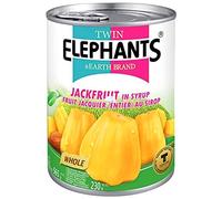 Fruit de jacquier entier au sirop lourd ELEPHANTS 565g Thailande - Pack de 6 pcs