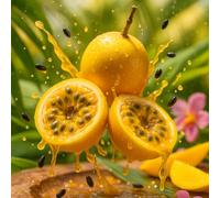 Fruit de la passion arôme concentré - Vegan - Sasami - 100 ml