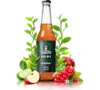 Fruit Drink Guarani - Boisson aux fruits avec du thé maté - Clasica 330 ml