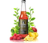Fruit Drink Guarani - Boisson aux fruits avec du thé maté - Sabor Citrus 330 ml