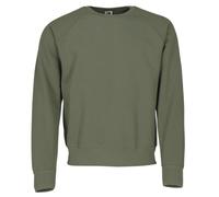 Fruit of the Loom Classic Raglan Sweat Pull, Vert (Olive Classique), M Homme