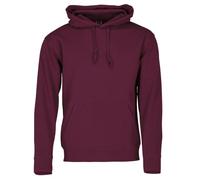 Fruit of the Loom Pull-Over Premium Sweat-Shirt à Capuche, Bordeaux, L Homme