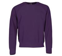 Fruit of the Loom Sweat Classique Raglan Pull 80/20 pour Homme - Violet (M)