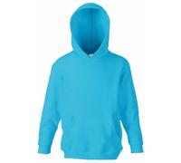 Fruit of the Loom - Sweatshirt à Capuche - Enfant Unisexe (9-11 Ans) (Bleu Azur)