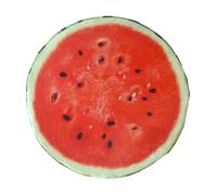 Fruit Pillow - Vibrant Circular Plush Decor, Thick Comfortable Chair Pad, Round Dimensional Stuffed Throw Seating Accessory Displaying Fresh Citrus Inspired Appearance For Home Kids Couch Classroom