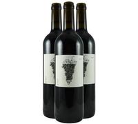 Fruit - Rouge 2020 - Domaine Jonc Blanc - Vin de France - Vin Rouge (3x75cl) BIO