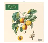 Fruits 2027: Wandkalender 30x30 cm (30x60 cm geöffnet) mit Notizkalendarium und 12 historischen Obst-Illustrationen von Pierre Antoine Poiteau