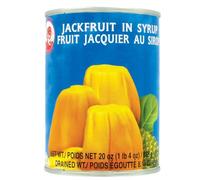 Fruits au Sirop en Conserve 565g/Boite et Cocktail de Fruits 2500g/Boite - Livraison Gratuite France (24, Fruits du jacquier)