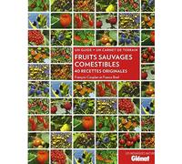 Fruits sauvages comestibles: 40 recettes originales