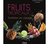 Fruits tropicaux: Invitation au voyage
