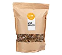 FRUTEG Mélange à base de plantes Tea Sports Vital 1000g | Temple aux herbes en vrac | Stimulation et revigorant - Caféine Free | Aromatique avec pomme anis brombeer fennel menthe poivrée orange | 1kg