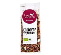 FRUTEG Thé aux fruits Organic Fraise Sorarmin 100 g | Thé de fruits en vrac | Thé de menthe poivrée avec fraise - rafraîchissant et fruité en même temps | Thé de fruits bio lâche 100g