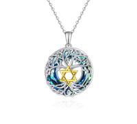 Fryneauy DE1 Chaîne en argent sterling 925 avec pendentif en forme d'arbre de vie et étoile de David Cadeau pour femme