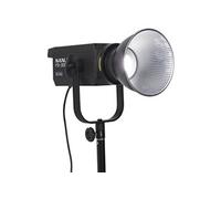 fs 300 b
