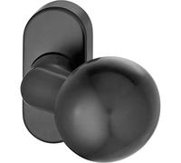 FSB 0 070846 07 0846 22801 0810 Poignée de porte fixe ø 50 mm sur rosace Bouton de porte en aluminium noir mat Argenté