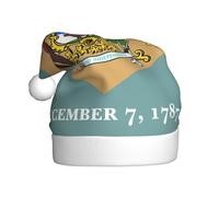 FSCEV Chapeau de Noël Drapeau du Delaware pour adulte Chapeau de Père Noël en peluche pour Noël, Nouvel An, cadeaux de vacances festifs