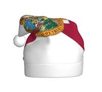 FSCEV Chapeau de Noël en peluche pour adulte avec drapeau de l'État de Floride pour Noël, Nouvel An, cadeaux de vacances festifs