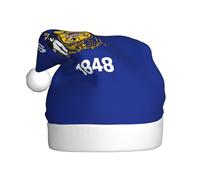 FSCEV Chapeau de Père Noël Drapeau de l'État du Wisconsin pour adulte Chapeau de Père Noël en peluche pour Noël, Nouvel An, cadeaux de vacances festifs