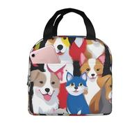 FSCEV Sac à déjeuner coloré avec chevaux de dessin animé, sac à bento de poche, sac de courses