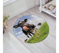 FSDGY Tapis de Bain,Tapis Salle de Bain Moelleux en Microfibre,Tapis de Douche Absorbant Lavable en Machine,Portrait d'une Vache reniflant Un arrière-Plan de Champ Vert. Animaux de la Ferme.,60x60 cm