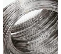 FSLMEIL Fil à ressort en acier inoxydable fil dur plein fil dur 0,2 mm - 2 mm longueur 10 m fil d'acier à ressort (taille : 0,6 mm, couleur : 10 m)