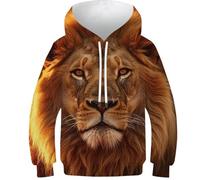 FSMHDG Hoodie Enfant Lion - Style 3D Captivant, Sweat À Capuche pour Enfants Confortable Et Résistant, pour Toutes Les Aventures