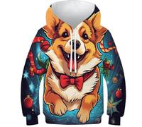 FSMHDG Pull À Capuche pour Enfants Animaux de Noël - Sweat À Capuche 3D pour Garçon/Fille, Hoodie Enfant Tendance, Confortable Et Durable