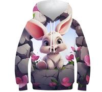 FSMHDG Sweat À Capuche pour Enfants Animaux 3D - Motif 3D Captivant, Hoodie Enfant pour Un Look Tendance, Confortable pour Garçon/Fille