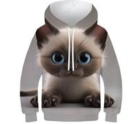 FSMHDG Sweatshirt Enfant Chat 3D - Design 3D Innovant, Pull À Capuche pour Enfants Parfait pour Toutes Les Occasions, Garçon/Fille