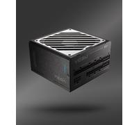 FSP MEGA-1000GM Bloc d’Alimentation 1000W ATX 3.1 80 Plus Gold Noir Vollmodul