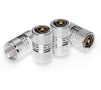 FSWEOKL 4 Pièces Bouchon de Valve de Pneu pour Lamborghini Huracán LP 640-4 Performante, Capuchon Anti-Poussière Étanche Résistant à la Corrosion à Joint,Sliver