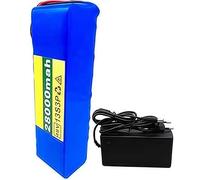 FTGADRYF Batterie Lithium-ION Rechargeable 48 V 28000 mAh, BMS 20 A intégré, étanche, PVC, 13S3P, avec Chargeur 54,6 V 2 A, for Moteur 1000 W, vélo électrique, Scooter, connecteur XT60(28Ah XT60)