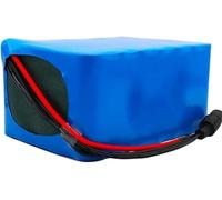 FTGADRYF Batterie Lithium-ION Rechargeable et étanche 60 V, 20000 mAh, BMS 30 A intégré, for Moteur 250-1000 W, vélo électrique et Scooter, connecteur XT60(20000mAh XT60)