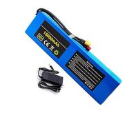FTGADRYF Batterie Lithium Rechargeable 36 V 15000 mAh avec BMS 15 A intégré 10S3P et Chargeur 42 V 2 A for vélo et Scooter électrique 100 W-500 W T XT60(36V XT60)