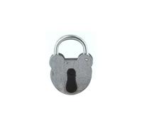 FTH - Cadenas 2493 à clé, corps en acier galvanisé de 55mm, anse en acier zingué de Ø 6,5mm, entrée de clé protégée par un cache, 2 clés à gorges