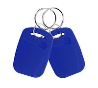 FTSTech 10pcs Porte-clés RFID Double Fréquence 125KHz et 13,56MHz 2-en-1 Porte-clés Composite UID Réinscriptible Utilisé pour Copier/Cloner des Clés/Cartes (Bleu)