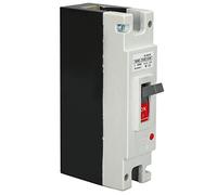 FTVOGUE 160A, Disjoncteur DC 1P, jusqu'à 25KA de capacité de Rupture, Matière Plastique, Cote de Tension 250 V, pour L'énergie Solaire, éolien, hydroélectricité avec Protection contre